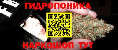 мдпв Гатчина