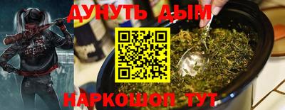 шишки Гай