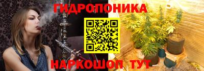 мдпв Гатчина