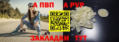 шишки Гай
