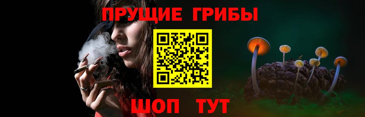 Галлюциногенные грибы ЛСД  купить наркоту  Галлюциногенные грибы Cubensis  Тосно  Вход с VPN 